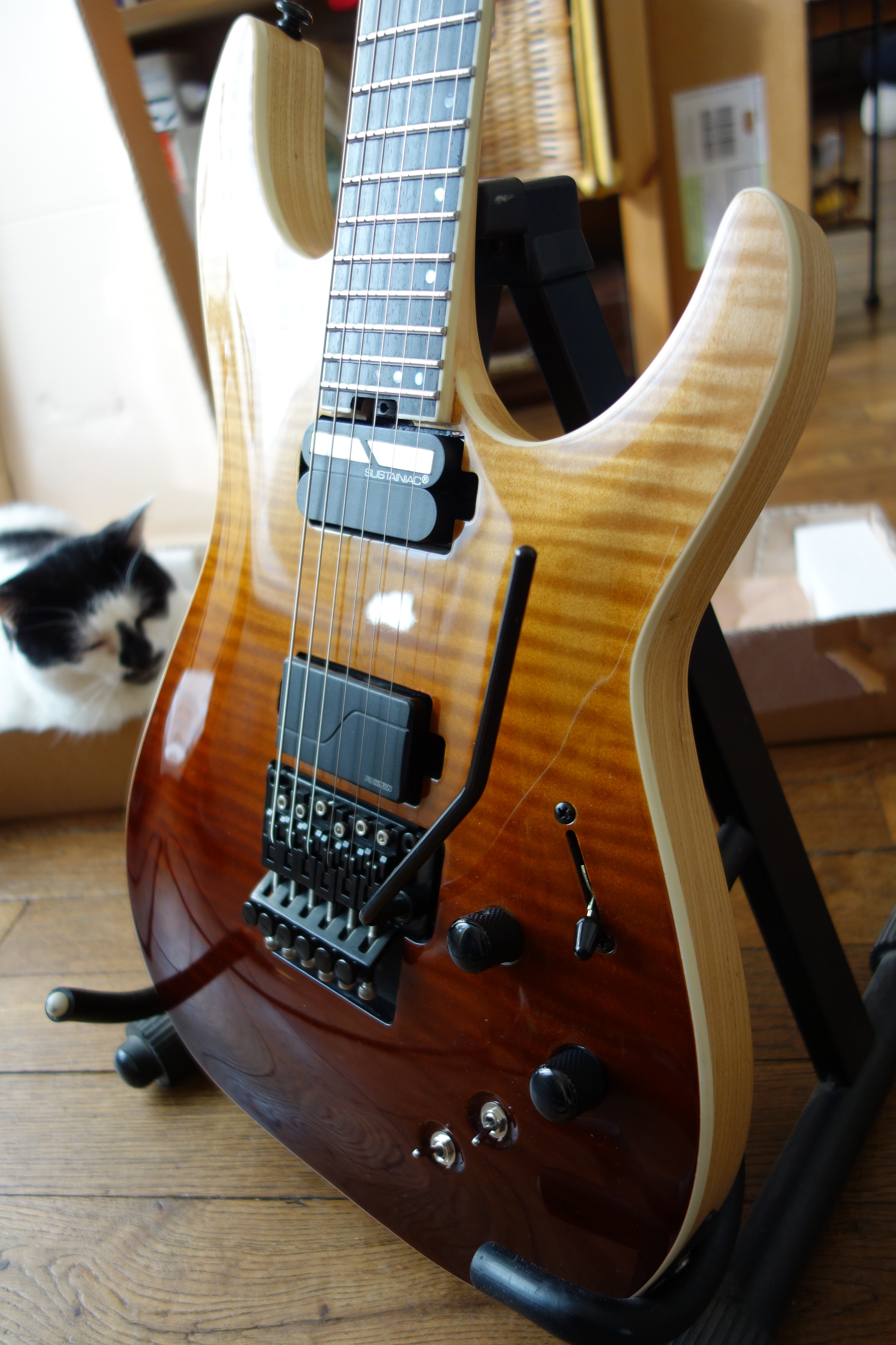 Schecter C-1 FR S SLS Elite