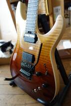 Schecter C-1 FR S SLS Elite