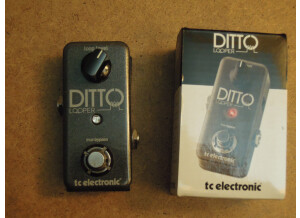 TC Electronic Ditto Looper (25797)