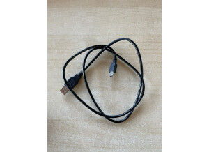 Akai Professional LPK25 (35711)