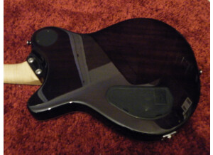 Framus Panthera Custom (8633)