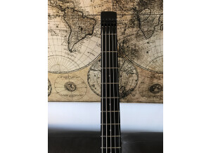 Steinberger XS-15FPA Custom (30245)