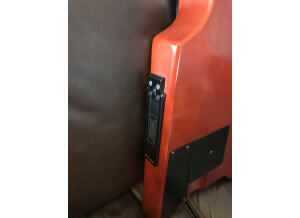 Steinberger XS-15FPA Custom (91016)