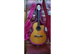 Gibson Chet Atkins CE/CEC (95173)