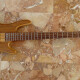 PGB700 Custom Artist PGB700 Custom Artist