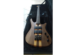 Chapman Guitars MLB1 pro (47552)