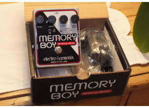 Electro-Harmonix Memory Boy (56023)