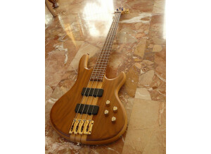 Storm PGB700 Custom Artist (91464)