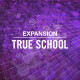True School True School