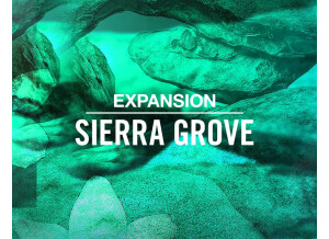 Native Instruments Sierra Grove