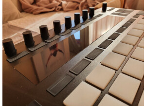 Ableton Push 2 (58121)