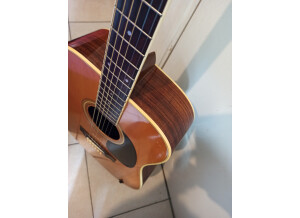 Morris Acoustic Guitar
