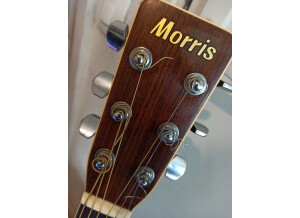 Morris Acoustic Guitar