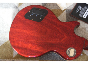 Gibson Burstdriver Les Paul Standard (85890)