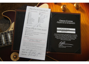 Gibson Burstdriver Les Paul Standard (16593)