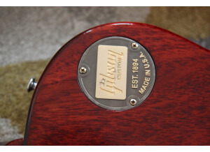 Gibson Burstdriver Les Paul Standard (13920)