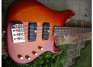 Vigier Excess Original (34268)