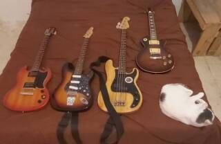 Epiphone SG Special
