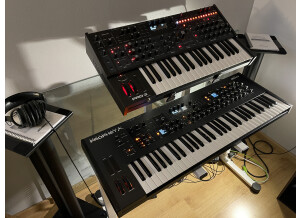 Sequential Prophet X (74626)
