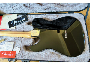 Fender American Professional Telecaster (65398)