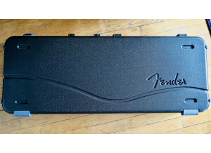Fender American Professional Telecaster (62084)