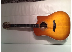 Taylor 810-CE