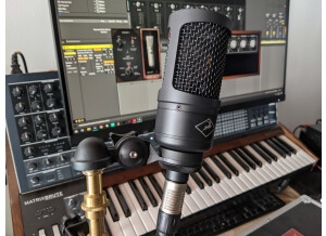 Antelope Audio Discrete 4 Synergy Core (42112)