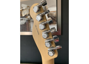 Fender American Professional Telecaster (48957)
