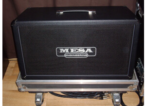 Mesa Boogie [Mark Series] Mark IV Head