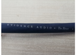 Evidence Audio siren 2