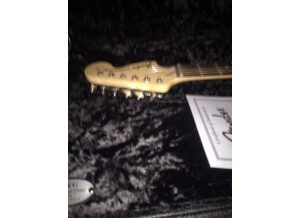Fender Eric Clapton Signature Stratocaster (17231)