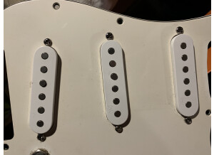 Fender Mod Shop Samarium Cobalt Noiseless Stratocaster Pickups (80148)