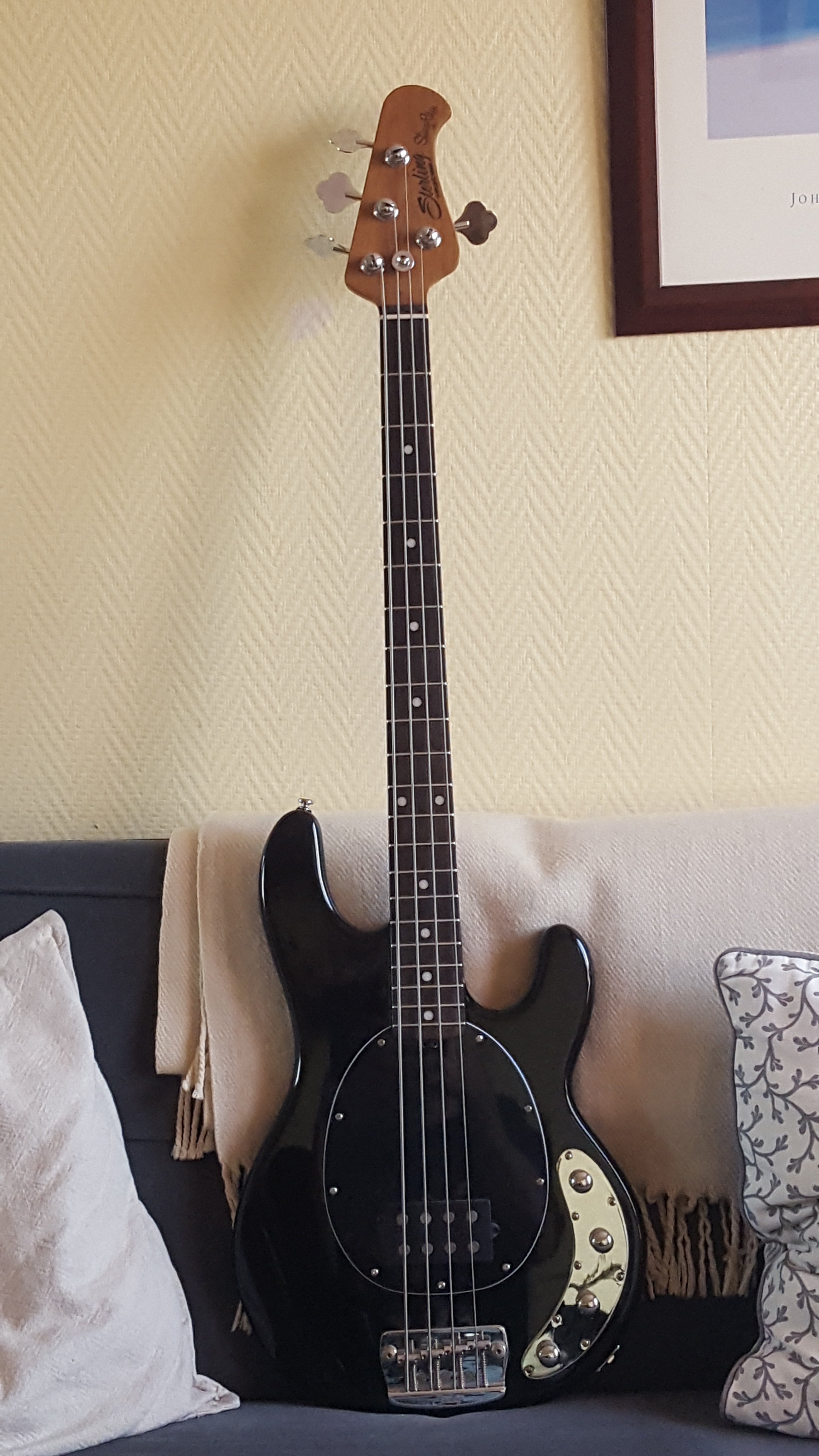 Sterling by Music Man StingRay Ray34