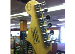 Fender Stratocaster Splatter (4663)