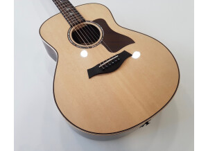 Taylor GT 811e (45331)