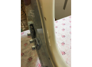 Godin Radiator (57002)