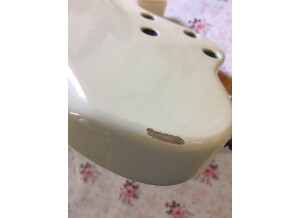 Godin Radiator (9597)