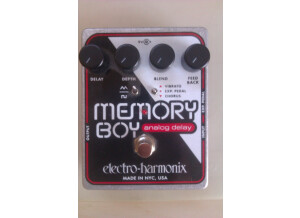 Electro-Harmonix Memory Boy (69183)