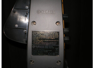 Yamaha [Silent Guitars Series] SLG100S
