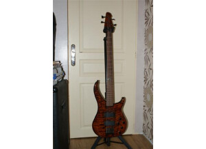 Peavey Peavey cirrus BXP4 quitt tiger eye
