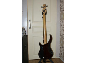 Peavey Peavey cirrus BXP4 quitt tiger eye