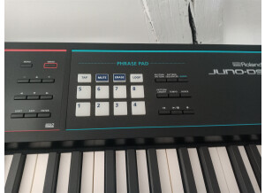 Roland JUNO-DS88 (69164)