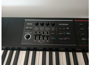 Roland JUNO-DS88 (78508)