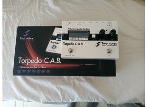 Two Notes Audio Engineering Torpedo C.A.B. (Cabinets in A Box) (94127)