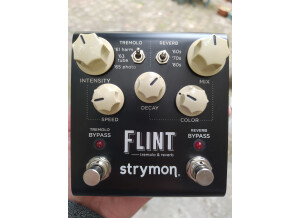 Strymon Flint (65703)