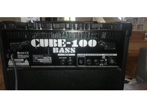 Roland Cube-100 Bass
