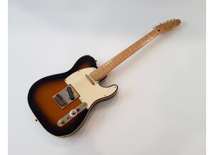 Fender Richie Kotzen Telecaster [2013-Current] (73587)