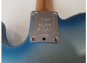 Fender American Professional Telecaster (51634)