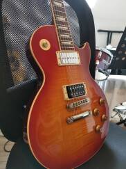 Asyllum Pickups Special Custom