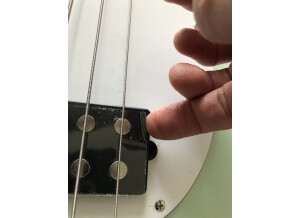Music Man Sub Sterling (2078)